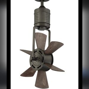 Home Decorators Windhaven 20" Indoor Outdoor Ceiling Fan In Natural Iron Finish